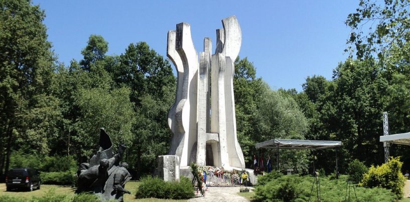 MIKA ŠPILJAK SKRIVEN U DEBLU STOLJETNOG JABLANA