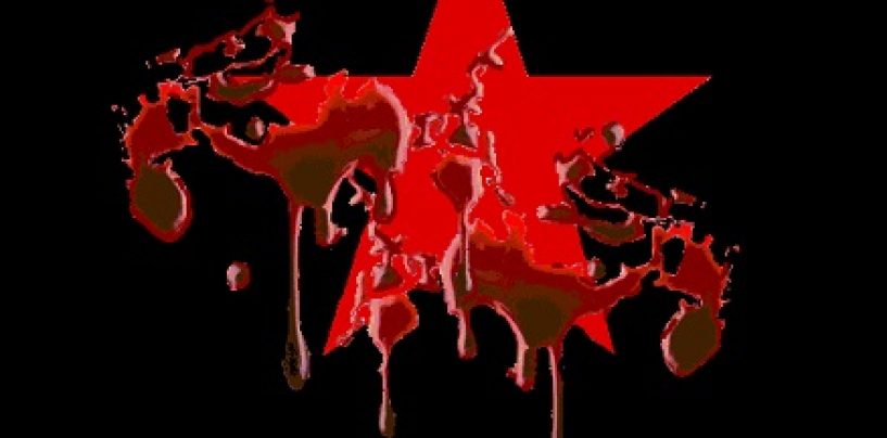 ZABIJ ZVIZDU JOVANKI U P…U