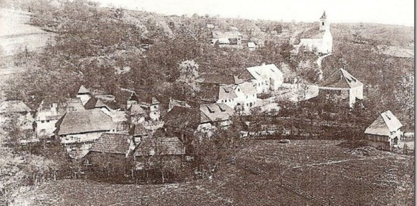 KANADSKE RUŽE ZA ZRIN