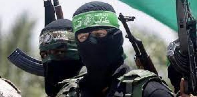 PREKO POLOVICE MUSLIMANA U NJEMAČKOJ SMATRA DA NA „ZAPADNJČKO NASILJE“ TREBA UZVRATITI NASILJEM