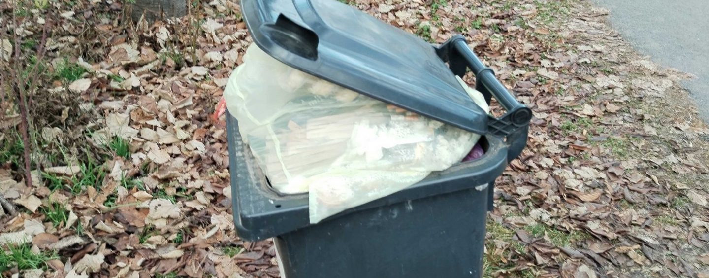 SISAK PO UZORU NA TOMAŠEVIĆA