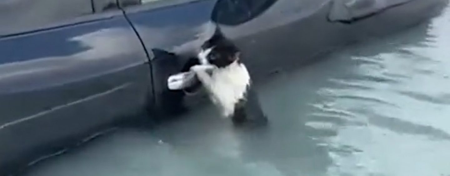 I INDIJANCI SU MOGLI DOZVATI KIŠU