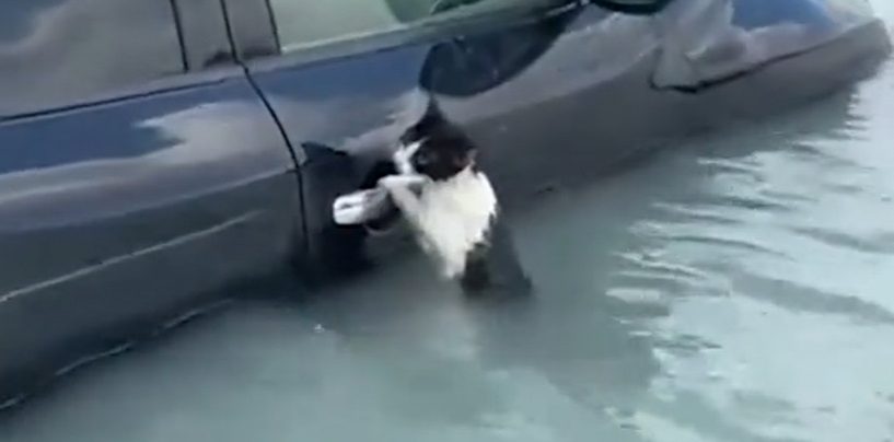 I INDIJANCI SU MOGLI DOZVATI KIŠU