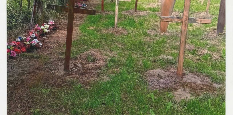 ZAPUŠTENO KAZNENIČKO GROBLJE U LEPOGLAVI