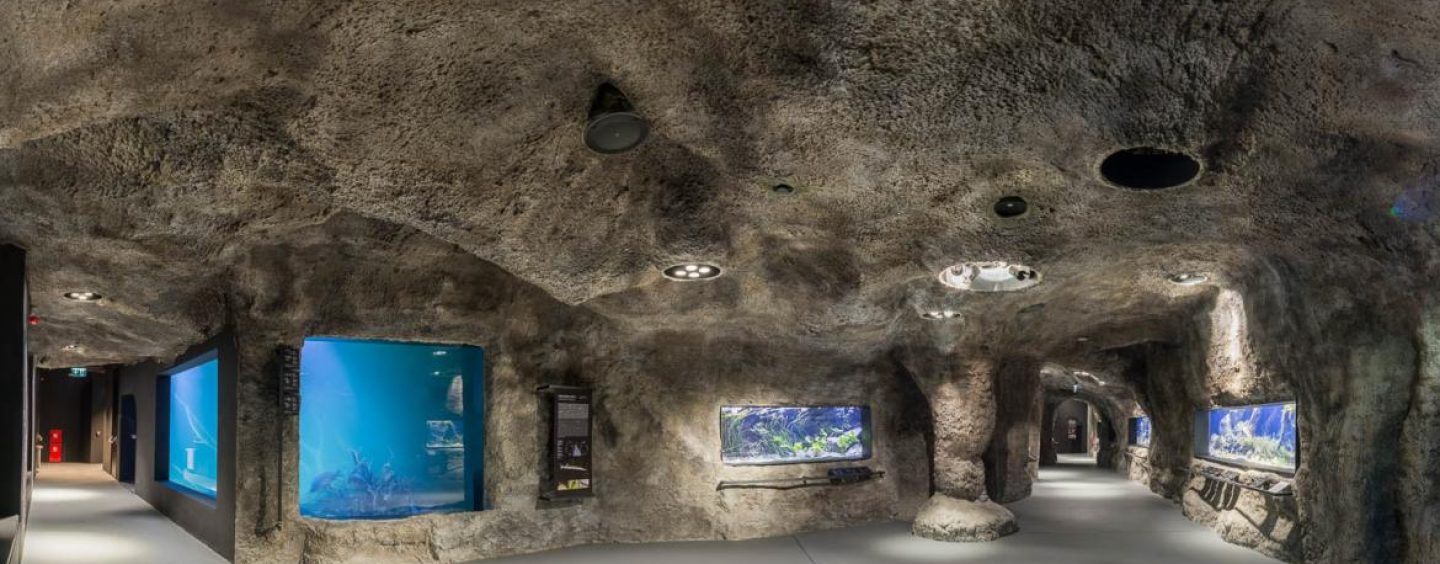 AQUATIKA, AKVARIUM U KARLOVCU JE HRVATSKI I EUROPSKI BISER