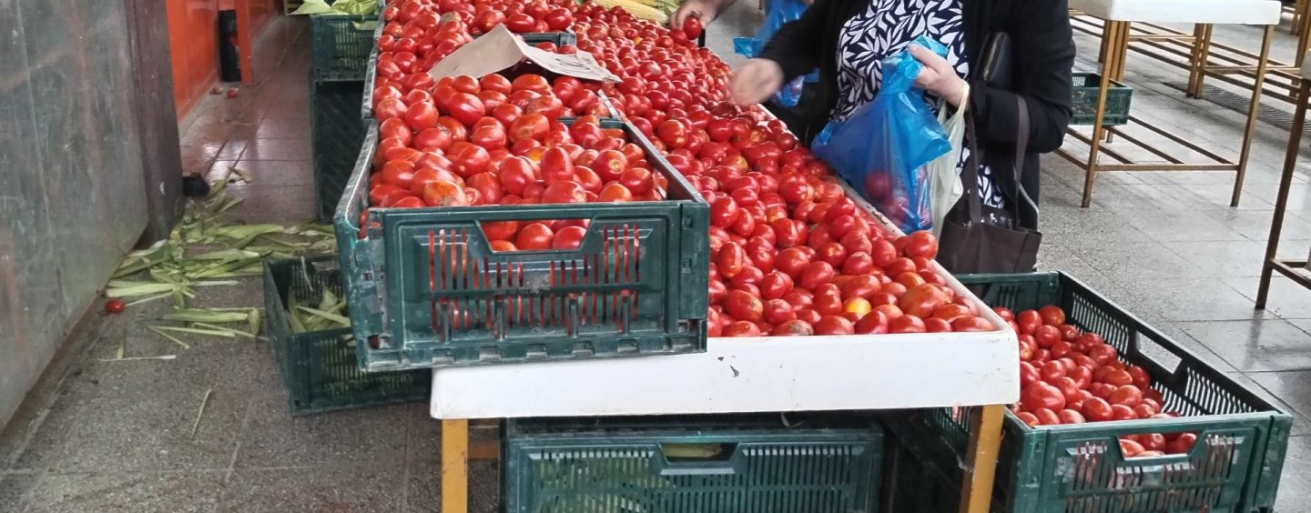 RAJČICA IZ MARTINSKE VESI