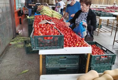 RAJČICA IZ MARTINSKE VESI