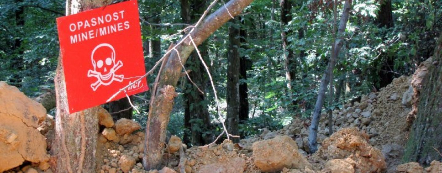 KOBNA KOTAR-ŠUMA PRVOGA DANA “OLUJE”