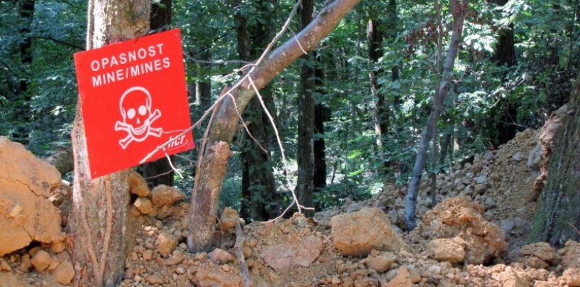 KOBNA KOTAR-ŠUMA PRVOGA DANA “OLUJE” 