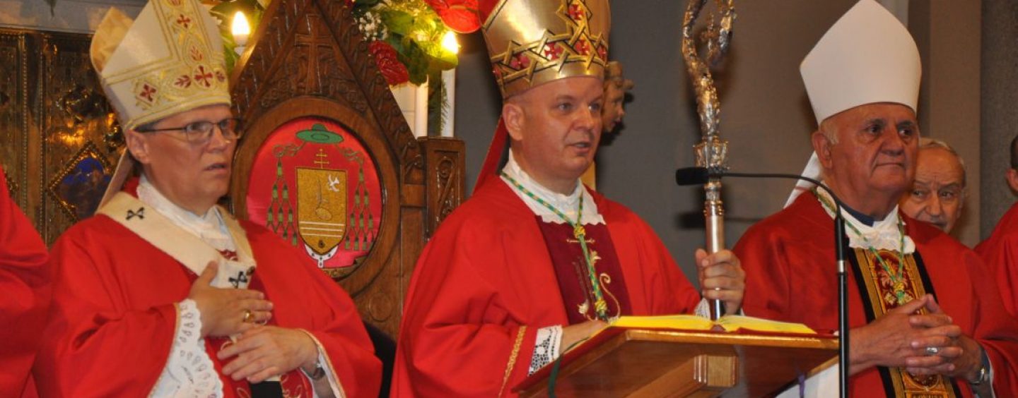 BISKUP SVALINA NA BANOVINI