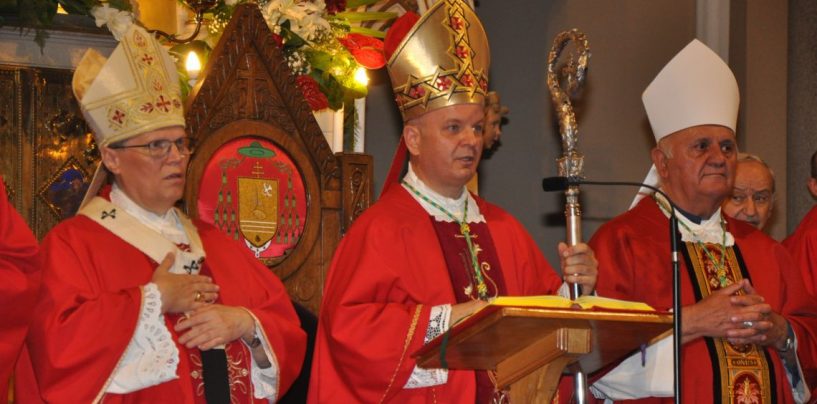 BISKUP SVALINA NA BANOVINI