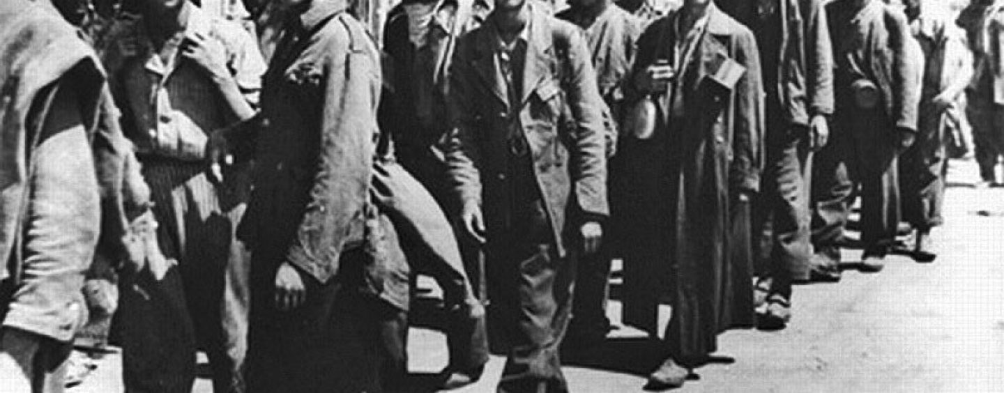 KOLONA JE BILA DUGA 60 KILOMETARA – OD DRAVOGRADA DO MARIBORA