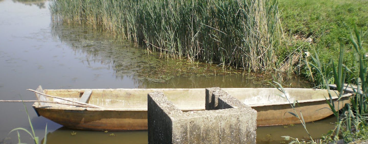 MARGETIĆ JE PRUZROČIO EKOCID I NAJVEĆU KRIZU U POVIJESTI CRNE MLAKE