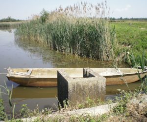 MARGETIĆ JE PRUZROČIO EKOCID I NAJVEĆU KRIZU U POVIJESTI CRNE MLAKE