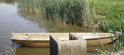 MARGETIĆ JE PRUZROČIO EKOCID I NAJVEĆU KRIZU U POVIJESTI CRNE MLAKE