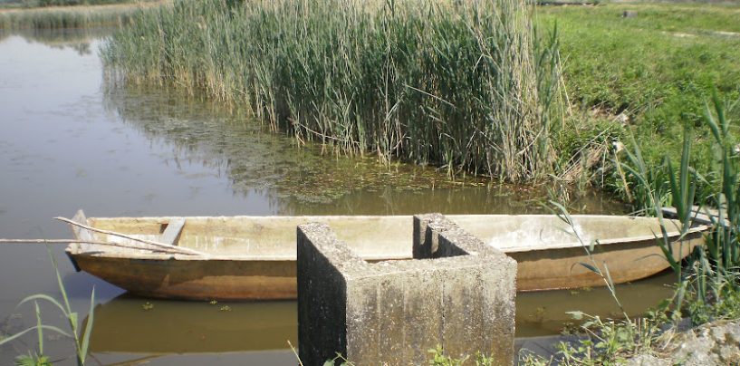 MARGETIĆ JE PRUZROČIO EKOCID I NAJVEĆU KRIZU U POVIJESTI CRNE MLAKE