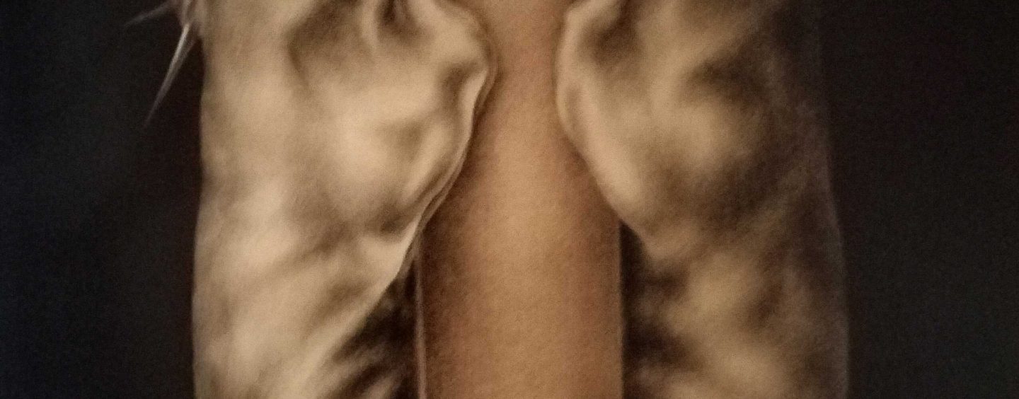 DIMITRIJEVA „GOLGOTSKA NOĆ“ U OKTOGONU