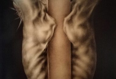 DIMITRIJEVA „GOLGOTSKA NOĆ“ U OKTOGONU