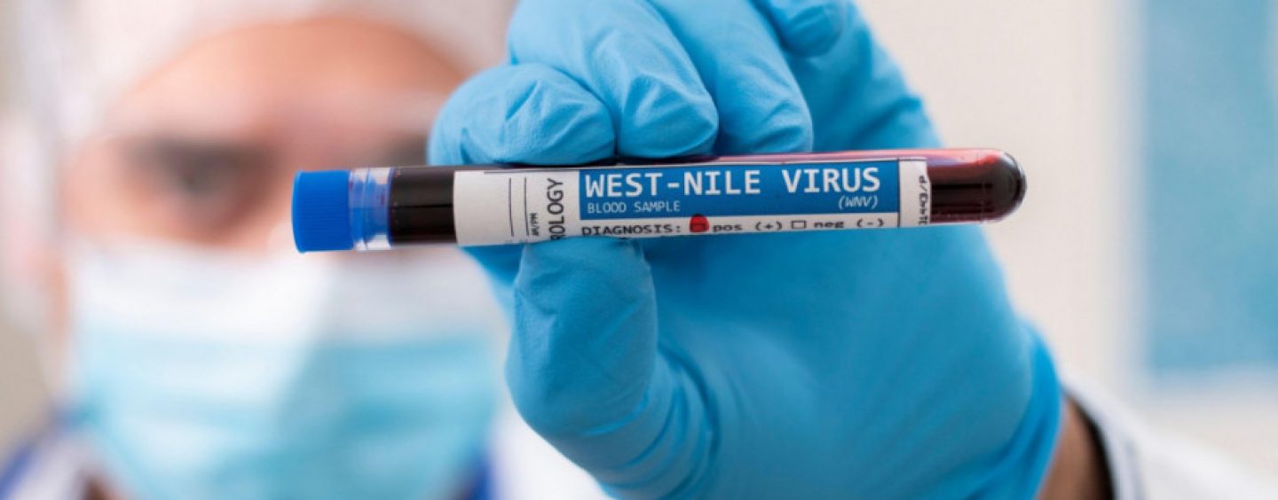 VIRUS ZAPADNOG NILA JE BLIZU, A TOMAŠEVIĆ OPET NIJE RIJEŠIO KOMARCE