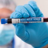 VIRUS ZAPADNOG NILA JE BLIZU, A TOMAŠEVIĆ OPET NIJE RIJEŠIO KOMARCE