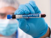 VIRUS ZAPADNOG NILA JE BLIZU, A TOMAŠEVIĆ OPET NIJE RIJEŠIO KOMARCE