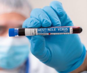 VIRUS ZAPADNOG NILA JE BLIZU, A TOMAŠEVIĆ OPET NIJE RIJEŠIO KOMARCE