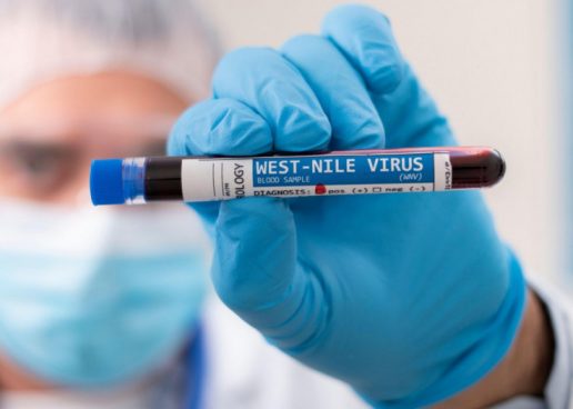 VIRUS ZAPADNOG NILA JE BLIZU, A TOMAŠEVIĆ OPET NIJE RIJEŠIO KOMARCE