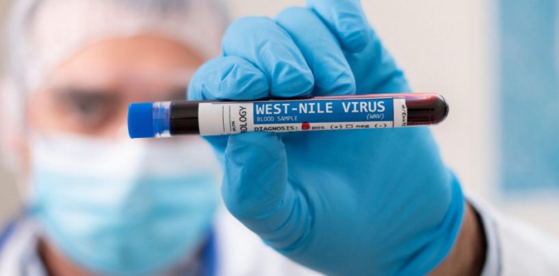 VIRUS ZAPADNOG NILA JE BLIZU, A TOMAŠEVIĆ OPET NIJE RIJEŠIO KOMARCE