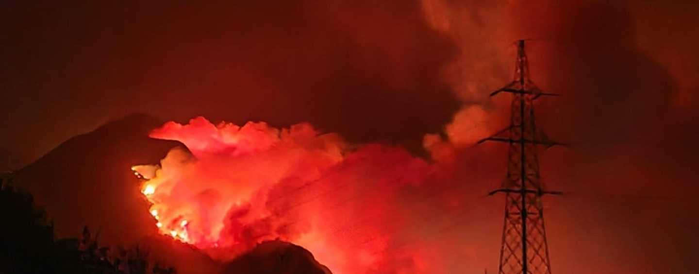 OVA VLAST NIJE NIKOGA UHITILA I OSUDILA ZA SPALJIVANJE HRVATSKE