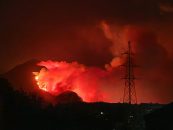 OVA VLAST NIJE NIKOGA UHITILA I OSUDILA ZA SPALJIVANJE HRVATSKE