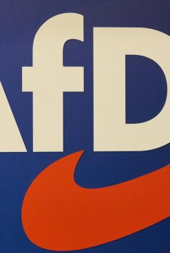 KAKO ZAISTA STOJI AfD BIT ĆE JASNO 20. RUJNA NA IZBORIMA U BERLINU