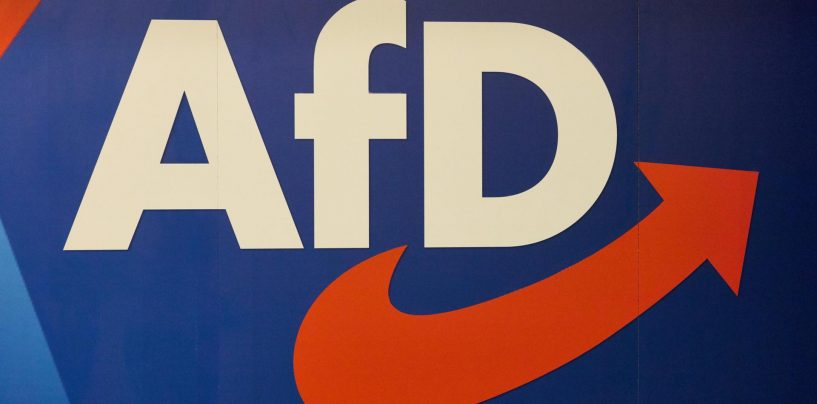 KAKO ZAISTA STOJI AfD BIT ĆE JASNO 20. RUJNA NA IZBORIMA U BERLINU