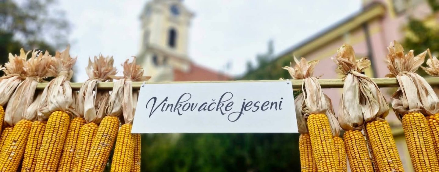 DRUGI DAN VINKOVAČKIH VEČERI
