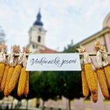 DRUGI DAN VINKOVAČKIH VEČERI