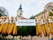 DRUGI DAN VINKOVAČKIH VEČERI